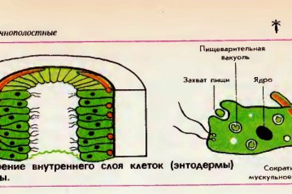 Ссылка на кракен на сегодня