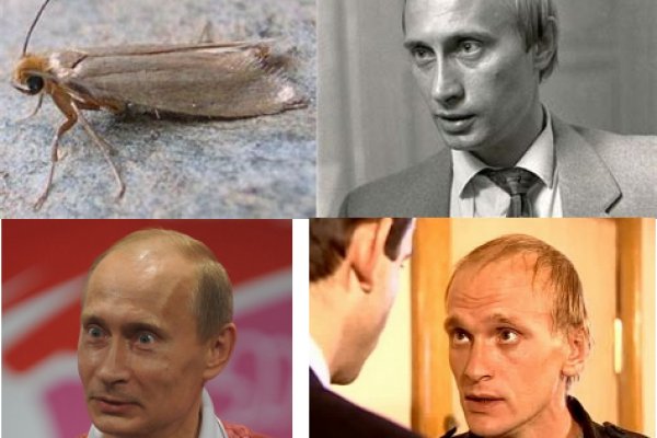 Кракен зеркало gigageek ru