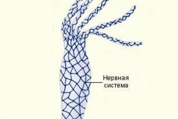 Кракен зеркало на сайт
