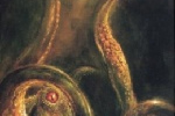 Kraken официальная ссылка