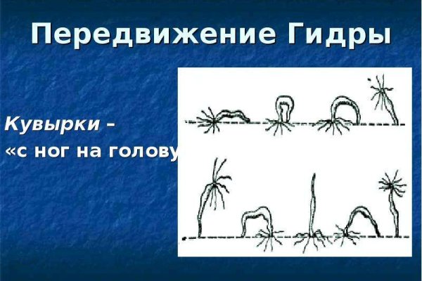 Магазины наркотиков